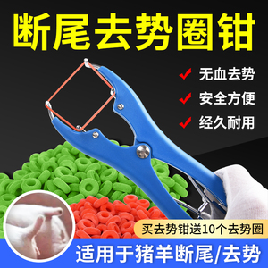 猪断尾剪