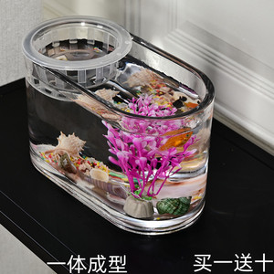 一次成型家用加厚玻璃小鱼缸带造景椭圆形窗台办公桌茶几玄关摆放