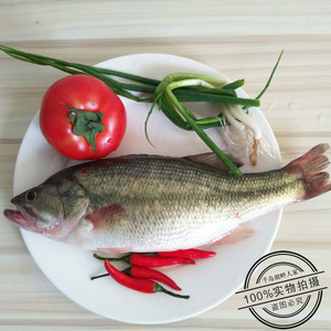 千岛湖鱼野生淡水鲈鱼500克鲜活新鲜水产品鲈鱼活鱼现杀