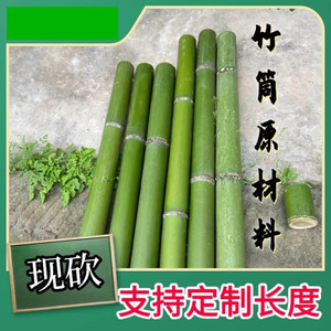 绿色竹筒新鲜竹子大小竹段天然竹竿花瓶罐装饰环创手工原材料定制
