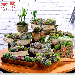 意景多肉花盆粗陶石头造型多肉植物花盆陶瓷大口径拼盘盆栽批发