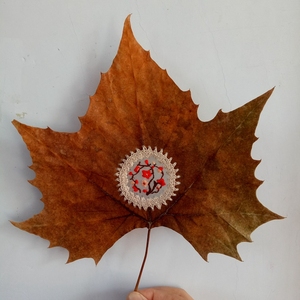 特惠植物标本装饰画真梧桐树叶纯手工现代简约挂画摆件客厅透明