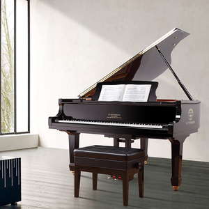 德国斯坦三角钢琴