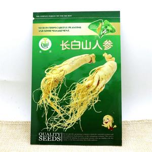 光头强动画片全集80第二部高清图片