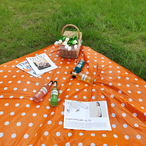 一次性野餐垫户外防水加厚春游桌布郊游台布ins风网红用品野餐布