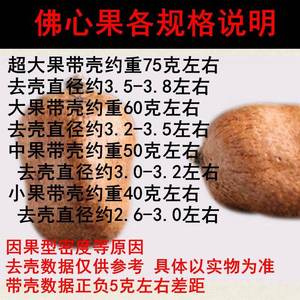 菩提果佛心果马来西亚原籽老果彩色大果吊坠项链原果红色超大把件