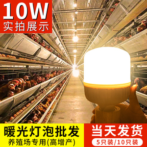 暖黄光LED灯泡养殖场专用照明灯鸡舍鸡场蛋鸡补光灯E27螺口节能灯