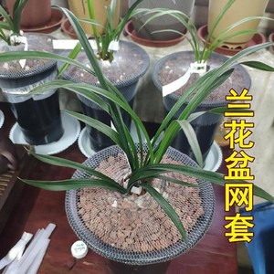 兰花盆网套兰草盆简约塑料盆包裹尼龙网套100米弹力网防护套网袋