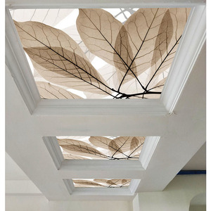 现代简约艺术玻璃吊顶亚克力装饰玻璃过道玄关透光3d有机玻璃天花