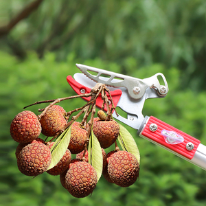 摘水果神器加长高空伸缩摘果剪果树修枝剪采荔枝龙眼枣剪刀高枝锯