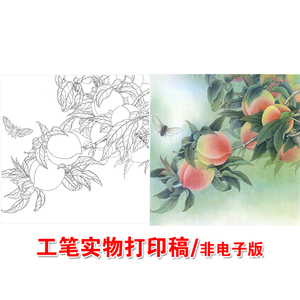 x617高清工笔国画寿桃工笔画白描底稿线描稿练习实物电子版打印稿