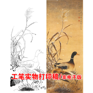 欧卡诺 早早孕快速检测试纸 笔型1人份 验孕棒测试怀孕配尿杯0人付款