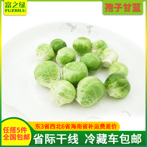 新鲜孢子甘蓝500克【任搭5份包邮】 新鲜抱子甘蓝芽菜 500g/250g