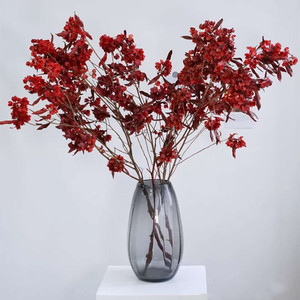 迎客豆鲜花云南直发永生干花红色迎客豆年宵花红色喜庆车桑子