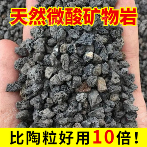 微酸矿物岩颗粒土养花专用小石子兰花多肉铺面天然黑色火山石底砂