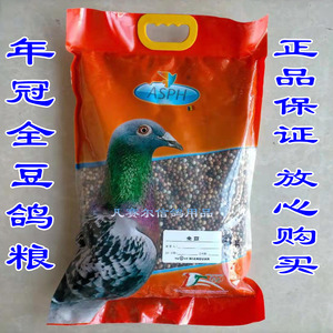年冠全豆鸽粮 鸽子高蛋白粮食 含进口小蚕豆 北京年冠鸽粮
