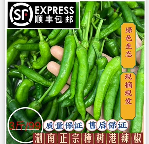 3斤装湖南土特产正宗樟树港辣椒纯绿色新鲜现摘自产自销顺丰包邮