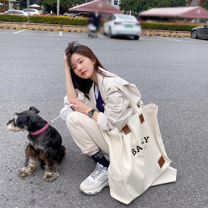 赵露思同款帆布包女2022新款大容量百搭ins手提包装书单肩托特包