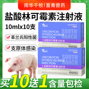 兽药兽用盐酸林可霉素注射液猪牛羊药咳嗽高低烧母猪产后消炎针剂