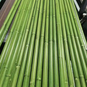 不锈钢竹节管仿真铝雕护栏仿竹型篱笆栅栏装饰户外绿色青竹单双节
