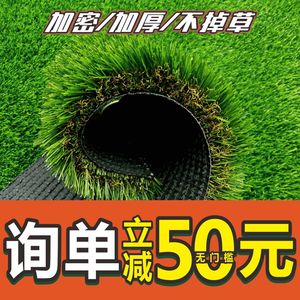 草坪垫子假草绿色塑料墙面地毯户外仿真人造室内绿植装饰人工草皮