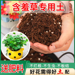 含羞草专用土花土 营养土 通用土壤家用盆栽有机腐殖基质营养肥土