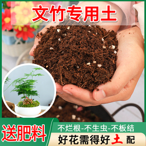 文竹专用土养花土壤通用型种植土家用花土有机盆栽种绿植土培养土