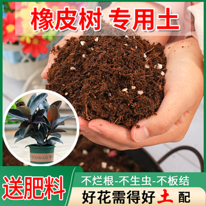 橡皮树专用土养花营养土通用型种花泥土家用种植土种绿植土有机土