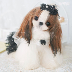 宠物狗活体公主