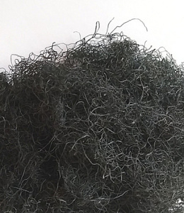 土特产纯天然龙须发菜发财菜特级真品头发菜宁夏甘肃内蒙100g包邮