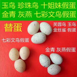 七彩文鸟蛋