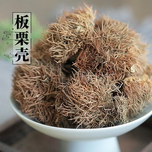 刺板栗球中药材500g克干货 栗刺壳风 栗壳板 粟刺 粟子刺壳 晒干