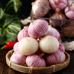 新鲜大蒜 云南独头紫皮大蒜农家自种湿蒜2020新鲜辛辣无瓣包邮