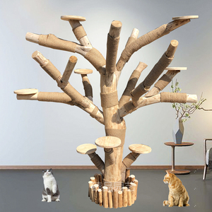 用枯树做猫爬架图图片