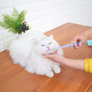 猫咪喂药器宠物猫猫狗狗喂药神器猫犬吃药针管驱虫药针筒干湿通用