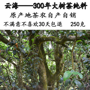 云南普洱茶古树茶百年老树茶大山茶生茶散茶农家茶生态茶250克