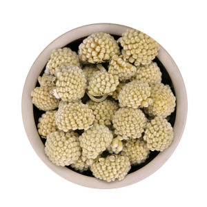 中药材 梦花 500克 别名 绿萝花 雪梨花 雪中情 打结花 雪里开