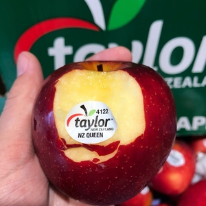 现货新西兰进口taylor泰勒4122红玫瑰苹果皇后新鲜9-12个礼盒装
