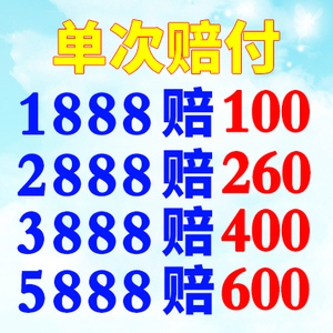 拍牌精灵  代拍沪牌 拍牌代拍上海车牌照 代拍车牌 沪牌代拍