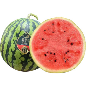 顺丰包邮 新鲜麒麟西瓜7-9斤海南翡翠蒂大西瓜