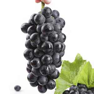 顺丰包邮 云南夏黑葡萄无籽新鲜孕妇水果