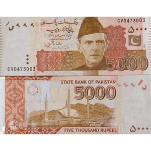 【亚洲】全新unc 巴基斯坦5000卢比 纸币 钱币收藏 2020年