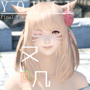 最终幻想14 ff14捏脸数据 猫魅族猫族 猫女 猫娘脸型 小橙子