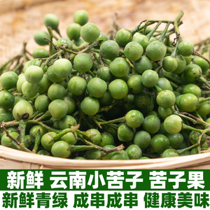 云南风味野生新鲜小苦子苦子果小圆茄新鲜油煎素撒苤苦水傣味特色