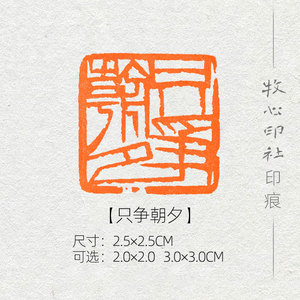 只争朝夕单刀齐白石风格印章手工篆刻成品闲章书画书法压角章