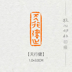 【天行健】古玺印 手工篆刻成品闲章书画书法印章古风引首章ys34