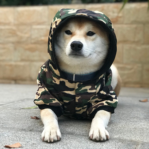 狗狗春秋装衣服大型犬拉布拉多柴犬哈士奇萨摩耶金毛大狗迷彩春装