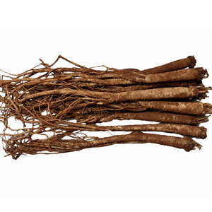 臭参(粗)云南特产云参地参臭药小人参它野菜新鲜蔬菜煲炖汤火锅