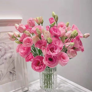 云南基地直发玫瑰洋桔梗鲜花速递混搭花束办公室直批直供水养插花