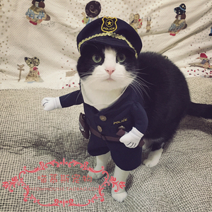 【喵慕斯】kojima宠物服装变身装直立装猫咪狗狗衣服黑猫警长保安